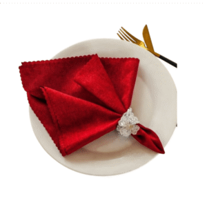 Napkin